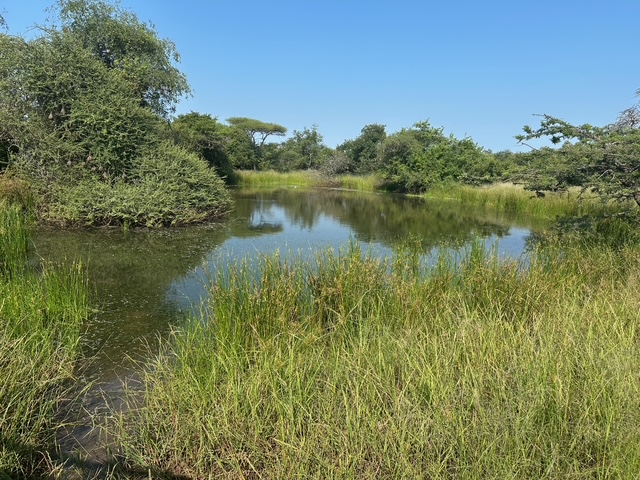 Commercial Property for Sale in Louis Trichardt Limpopo