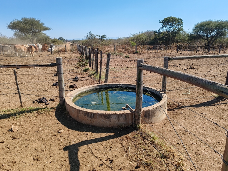 Commercial Property for Sale in Louis Trichardt Limpopo