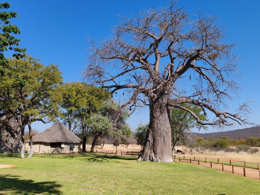 Commercial Property for Sale in Musina Limpopo
