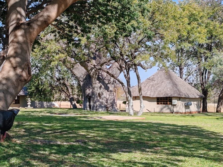 Commercial Property for Sale in Musina Limpopo