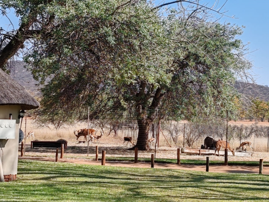 Commercial Property for Sale in Musina Limpopo