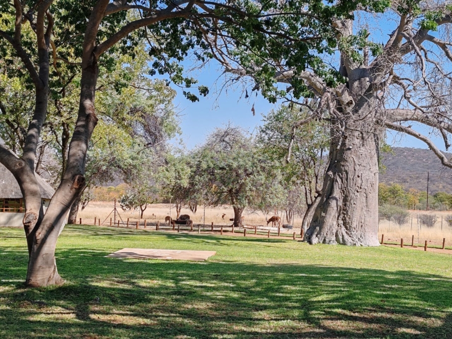Commercial Property for Sale in Musina Limpopo