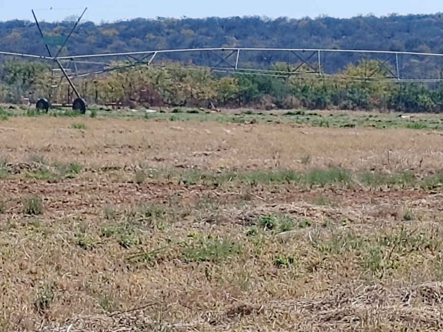 Commercial Property for Sale in Musina Limpopo