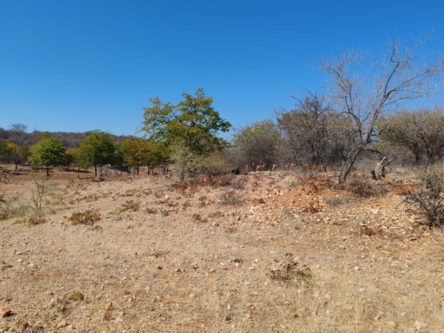 Commercial Property for Sale in Musina Limpopo
