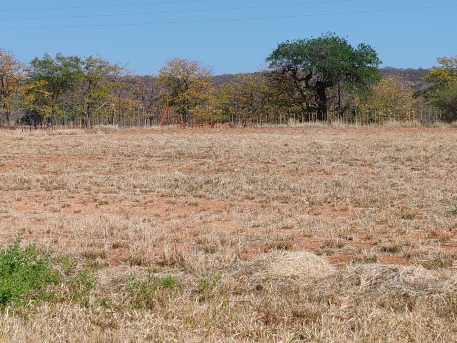 Commercial Property for Sale in Musina Limpopo