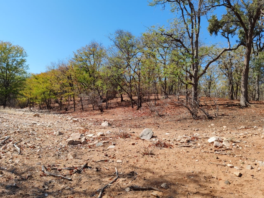 Commercial Property for Sale in Musina Limpopo