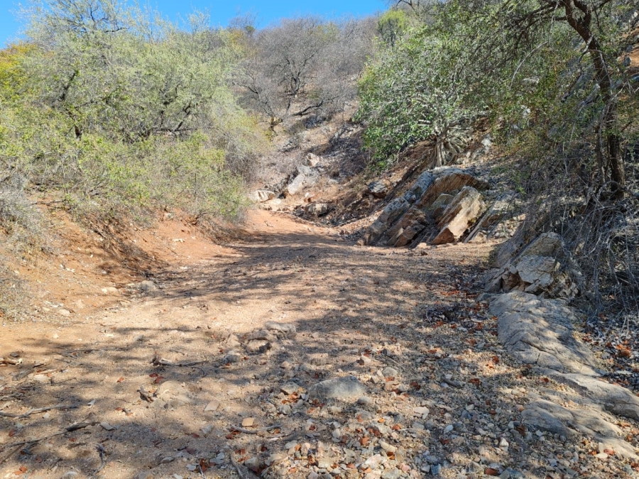 Commercial Property for Sale in Musina Limpopo
