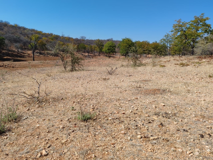 Commercial Property for Sale in Musina Limpopo