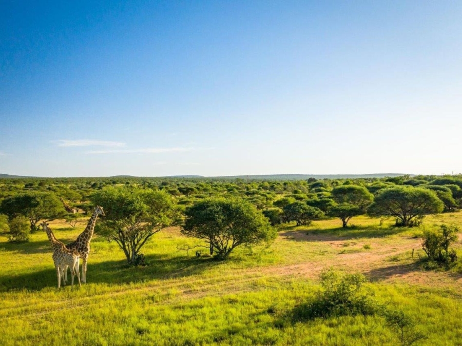 Commercial Property for Sale in Vaalwater Limpopo