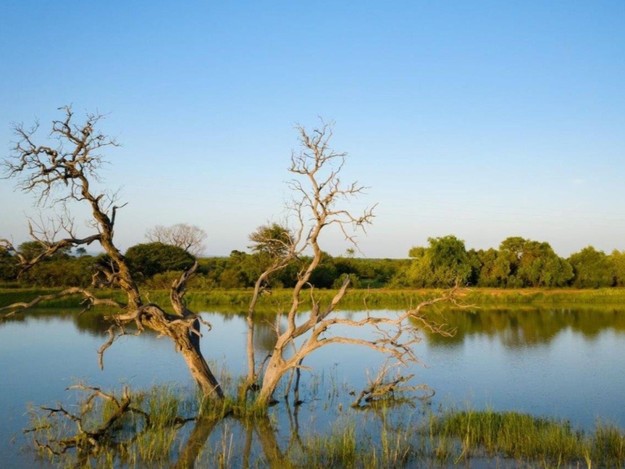 Commercial Property for Sale in Vaalwater Limpopo