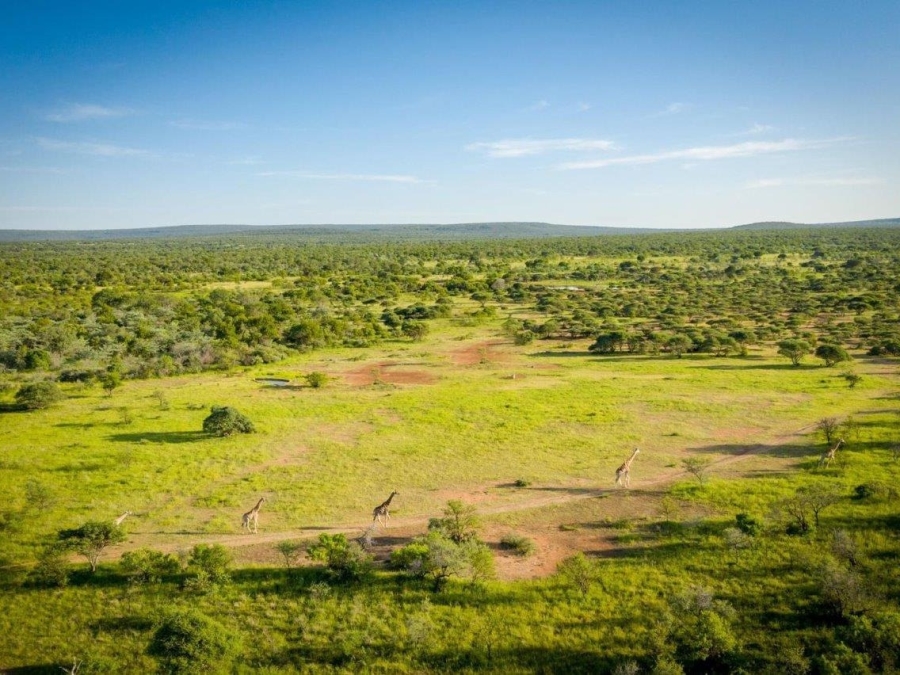 Commercial Property for Sale in Vaalwater Limpopo