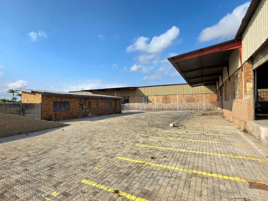 To Let commercial Property for Rent in Laboria Limpopo