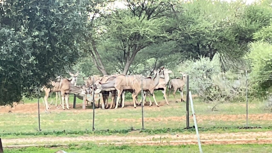 Commercial Property for Sale in Thabazimbi Limpopo