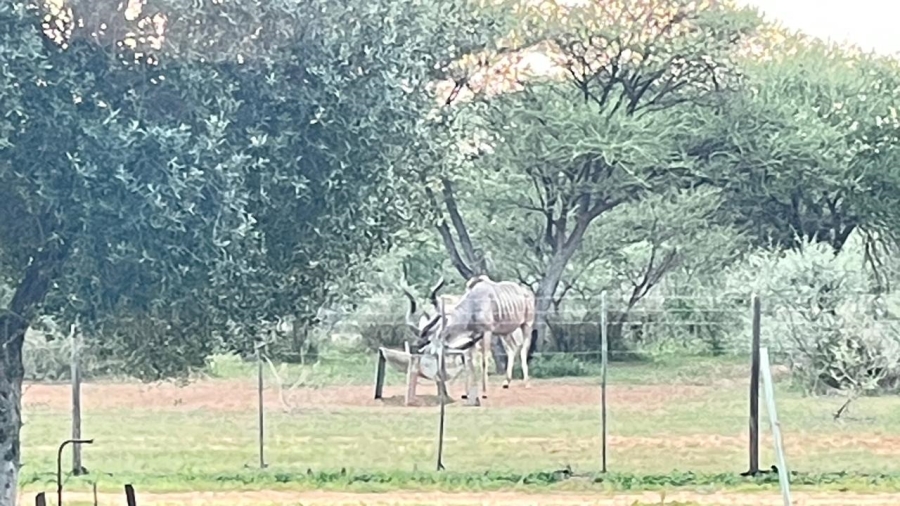 Commercial Property for Sale in Thabazimbi Limpopo