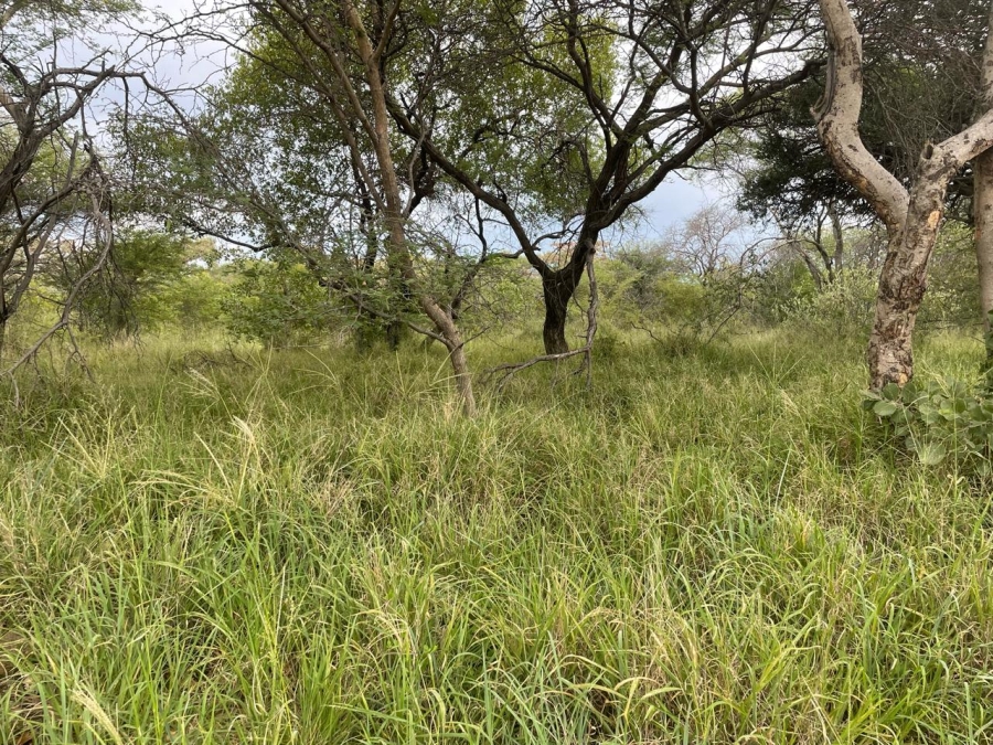 Commercial Property for Sale in Thabazimbi Limpopo