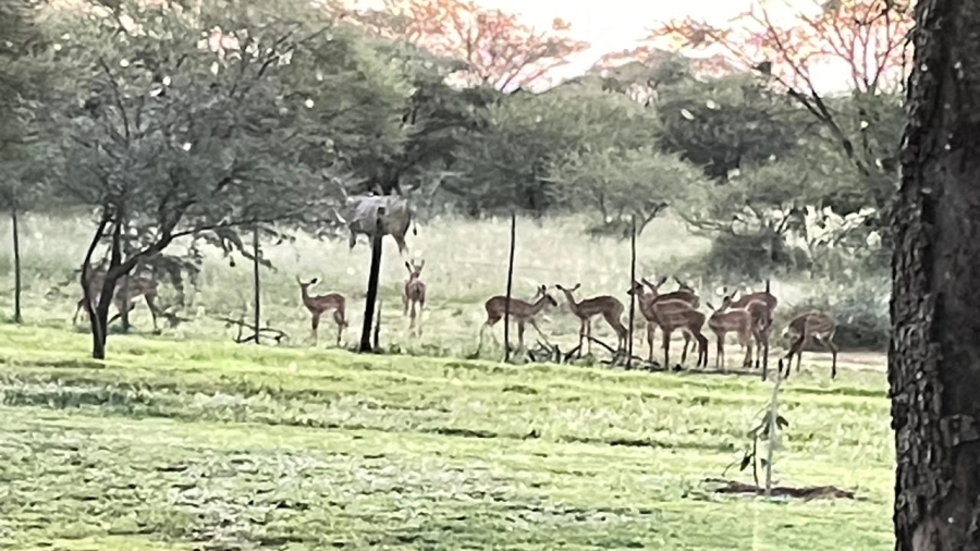 Commercial Property for Sale in Thabazimbi Limpopo