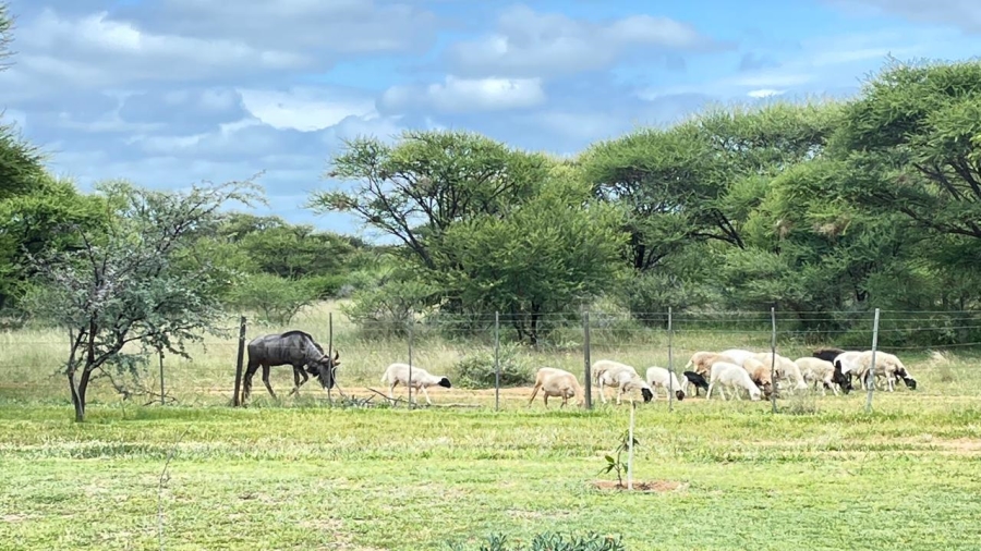 Commercial Property for Sale in Thabazimbi Limpopo