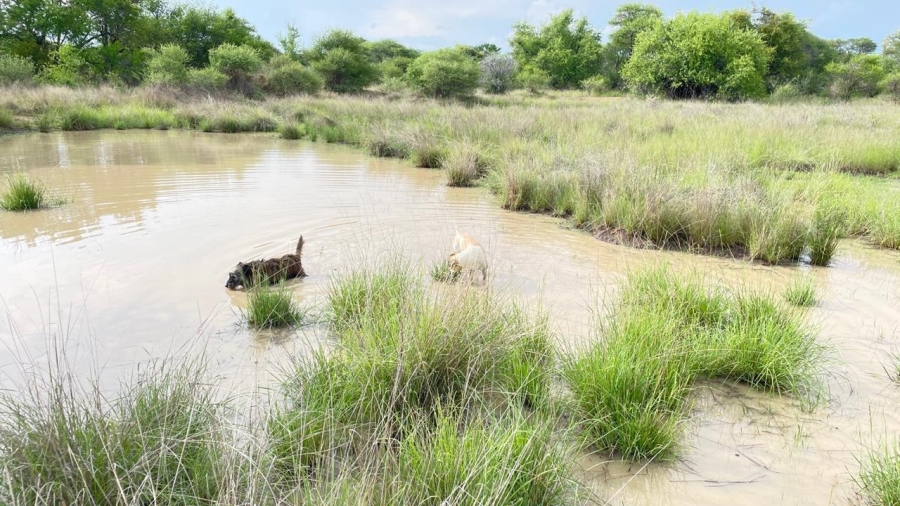 Commercial Property for Sale in Thabazimbi Limpopo