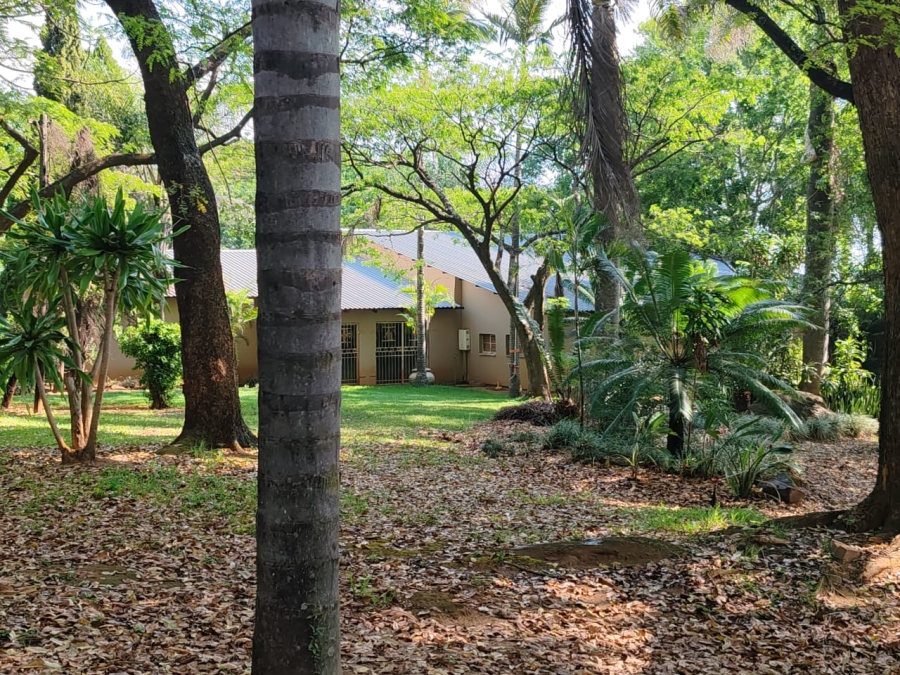 Commercial Property for Sale in Levubu Limpopo