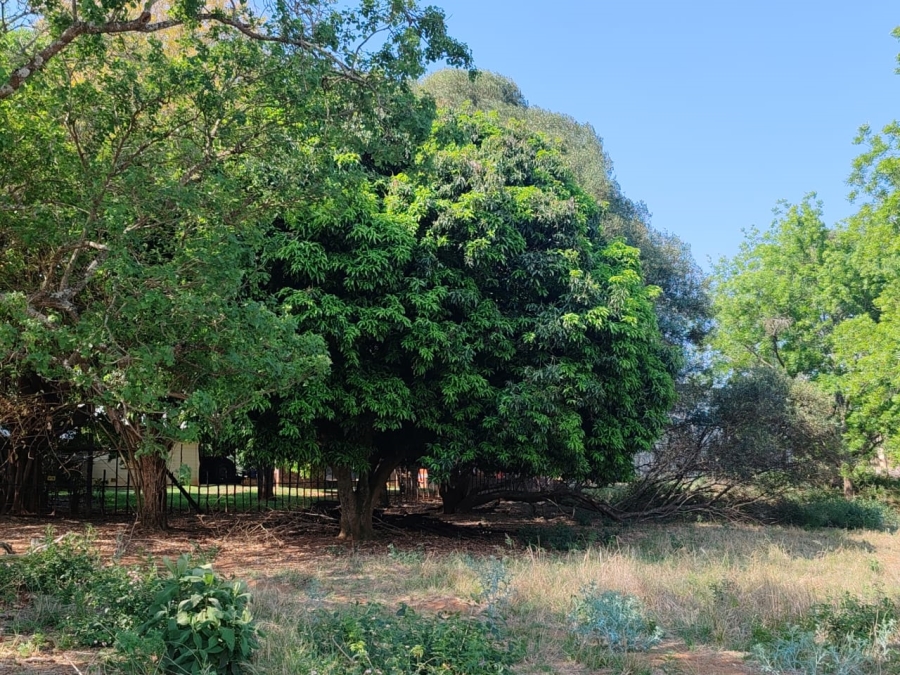 Commercial Property for Sale in Levubu Limpopo