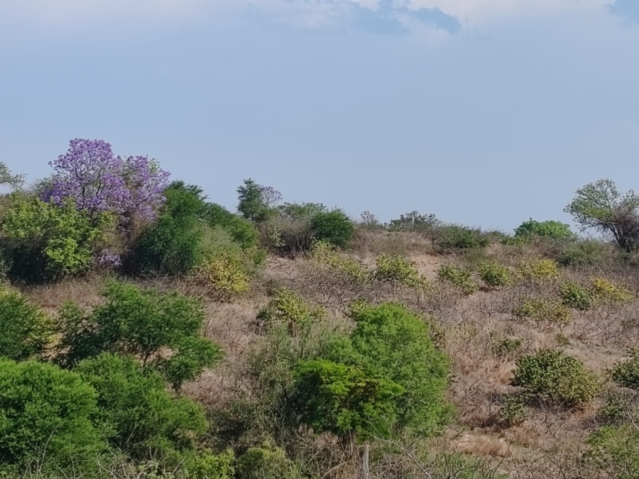 Commercial Property for Sale in Levubu Limpopo