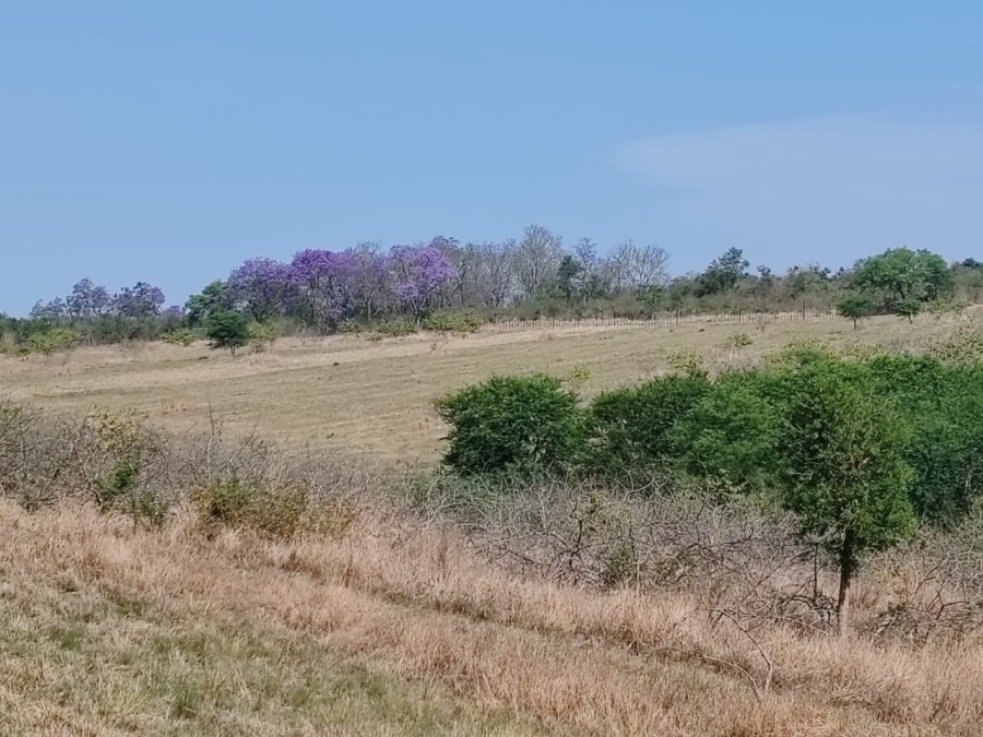 Commercial Property for Sale in Levubu Limpopo