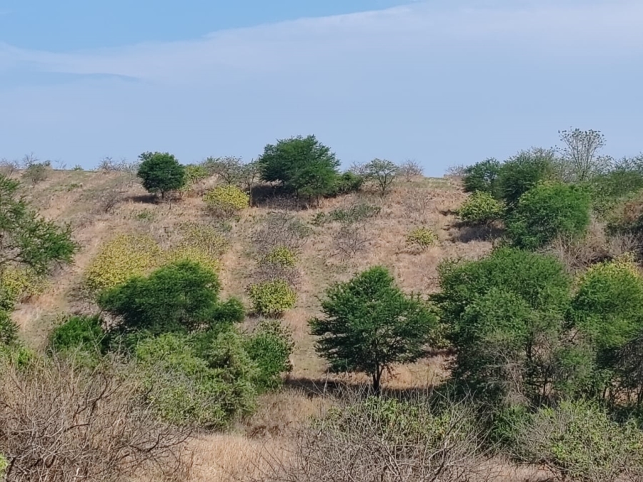 Commercial Property for Sale in Levubu Limpopo