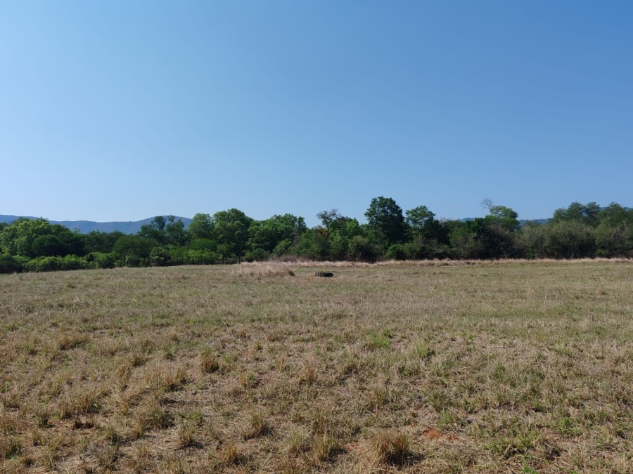Commercial Property for Sale in Levubu Limpopo