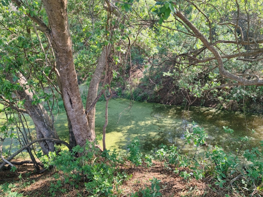 Commercial Property for Sale in Levubu Limpopo