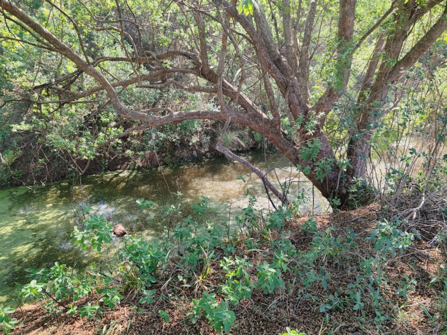 Commercial Property for Sale in Levubu Limpopo