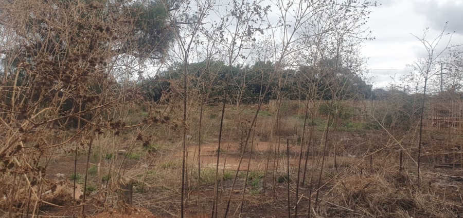 Commercial Property for Sale in Magna Via Industrial Limpopo