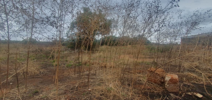 Commercial Property for Sale in Magna Via Industrial Limpopo