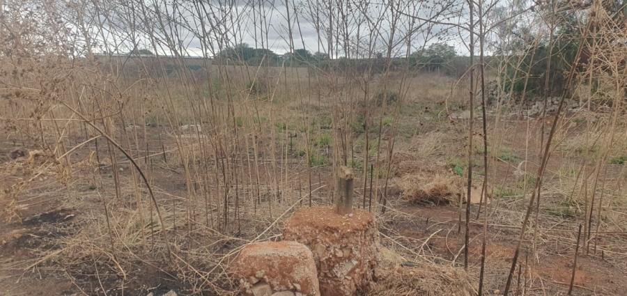 Commercial Property for Sale in Magna Via Industrial Limpopo