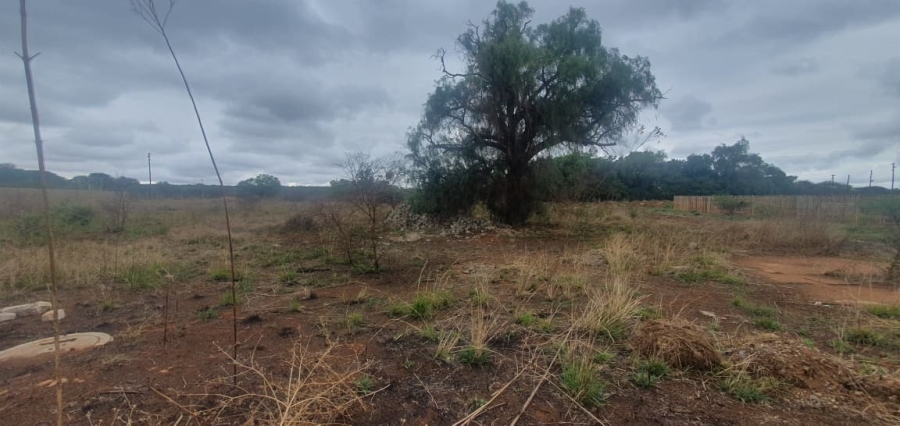 Commercial Property for Sale in Magna Via Industrial Limpopo