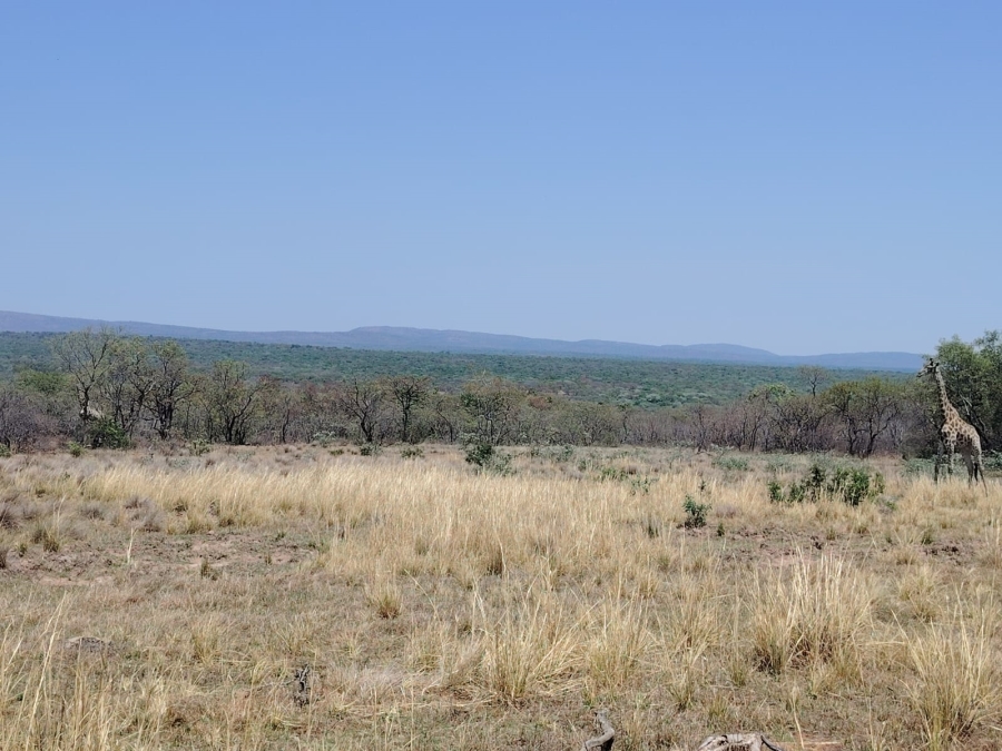 Commercial Property for Sale in Modimolle Rural Limpopo