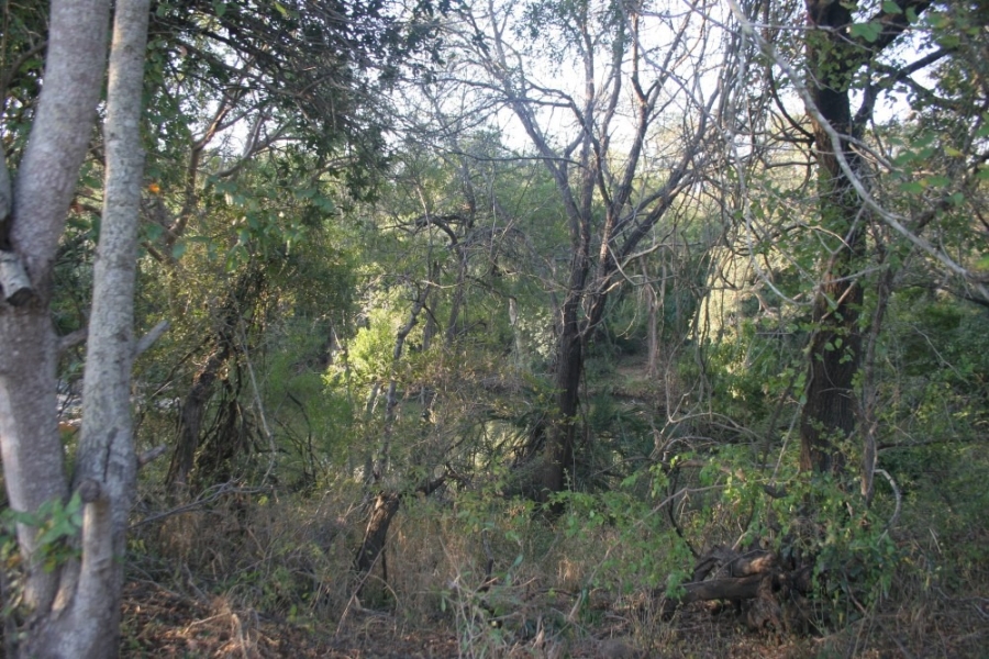 0 Bedroom Property for Sale in Blyderus AH Limpopo