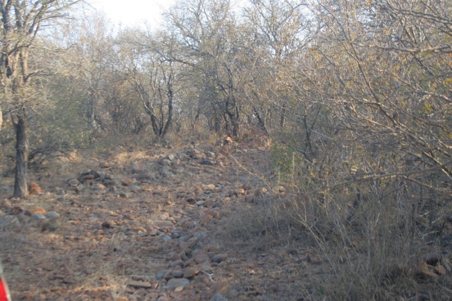 0 Bedroom Property for Sale in Blyderus AH Limpopo