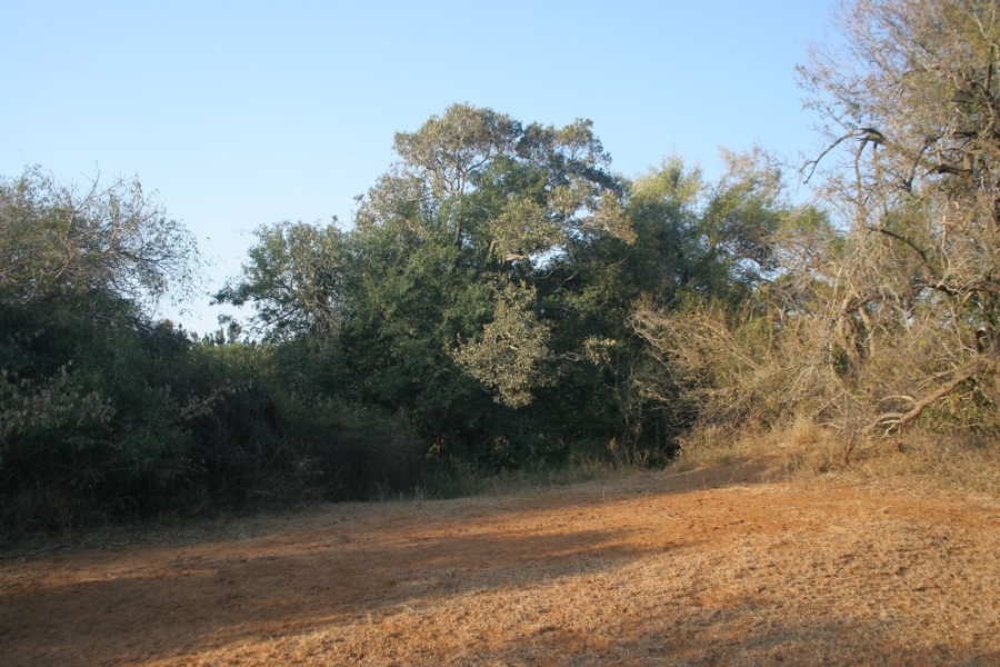 0 Bedroom Property for Sale in Blyderus AH Limpopo