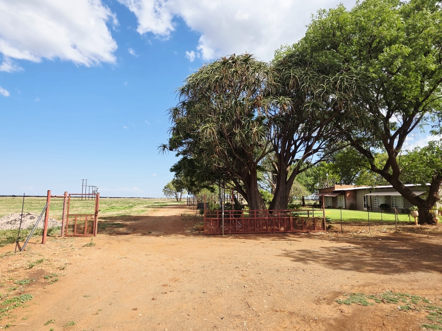4 Bedroom Property for Sale in Roedtan Limpopo