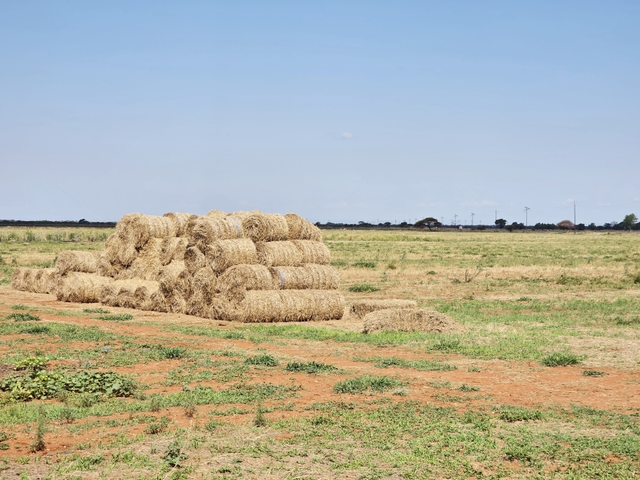 4 Bedroom Property for Sale in Roedtan Limpopo