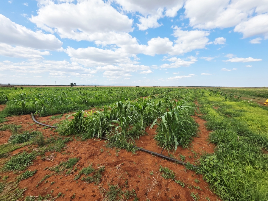 4 Bedroom Property for Sale in Roedtan Limpopo