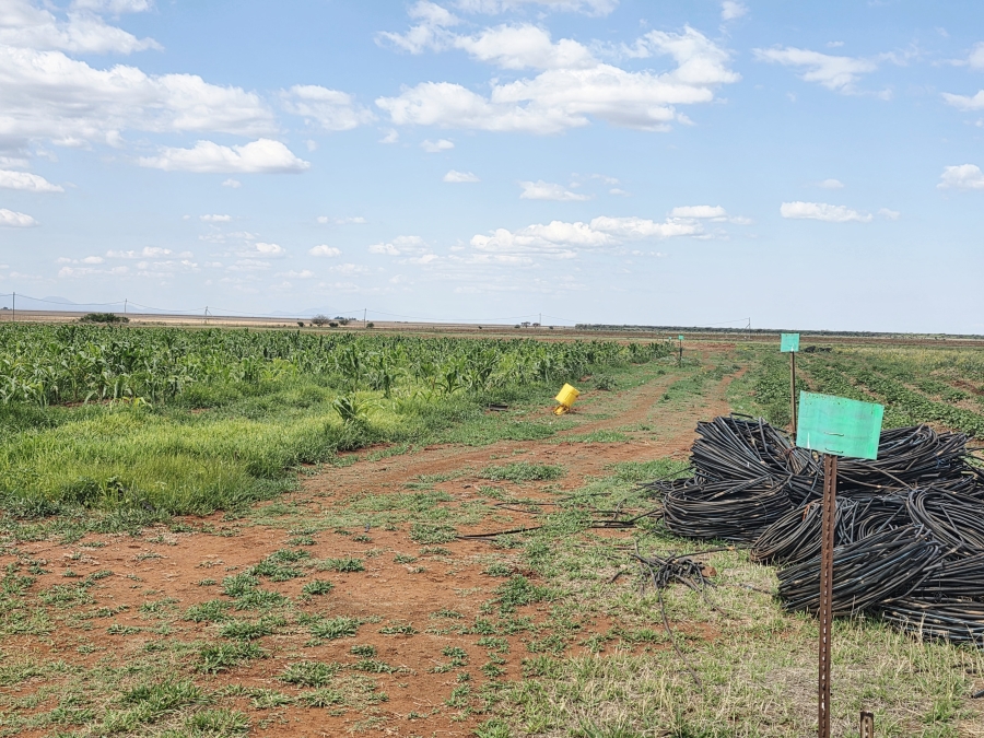 4 Bedroom Property for Sale in Roedtan Limpopo