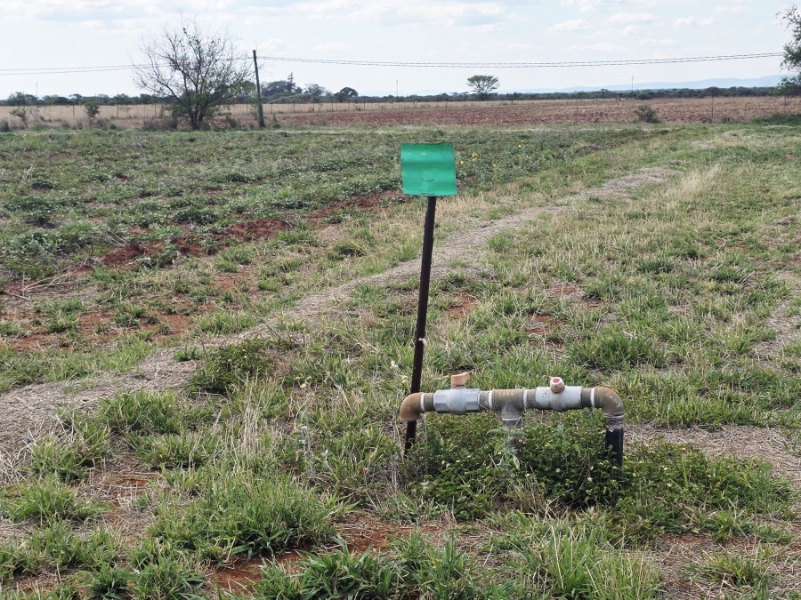 4 Bedroom Property for Sale in Roedtan Limpopo