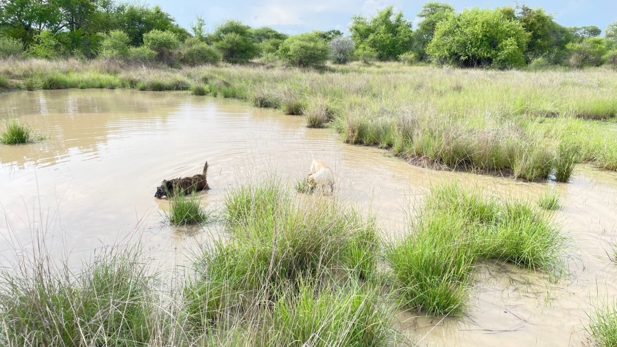 15 Bedroom Property for Sale in Bela Bela Limpopo