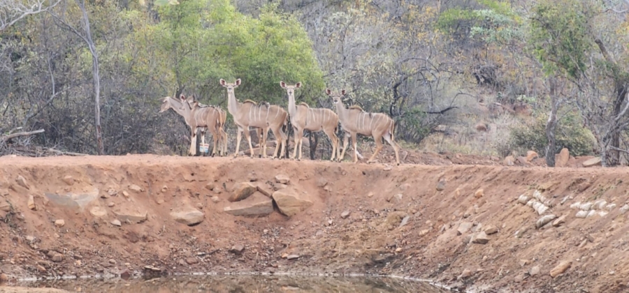 0 Bedroom Property for Sale in Lephalale Limpopo