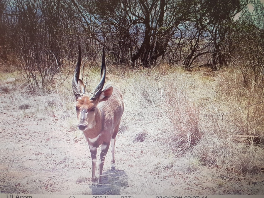 0 Bedroom Property for Sale in Lephalale Limpopo