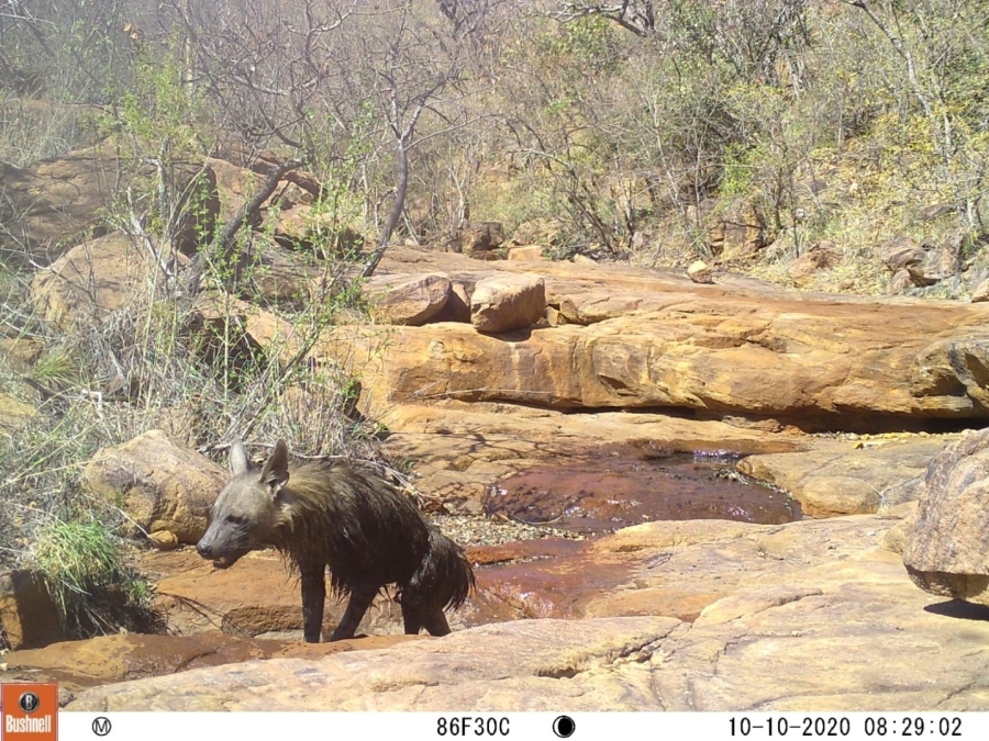 0 Bedroom Property for Sale in Lephalale Limpopo