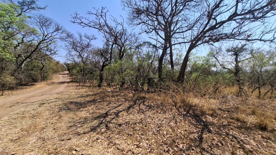 0 Bedroom Property for Sale in Bela Bela Limpopo