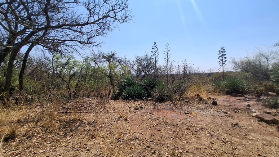 0 Bedroom Property for Sale in Bela Bela Limpopo