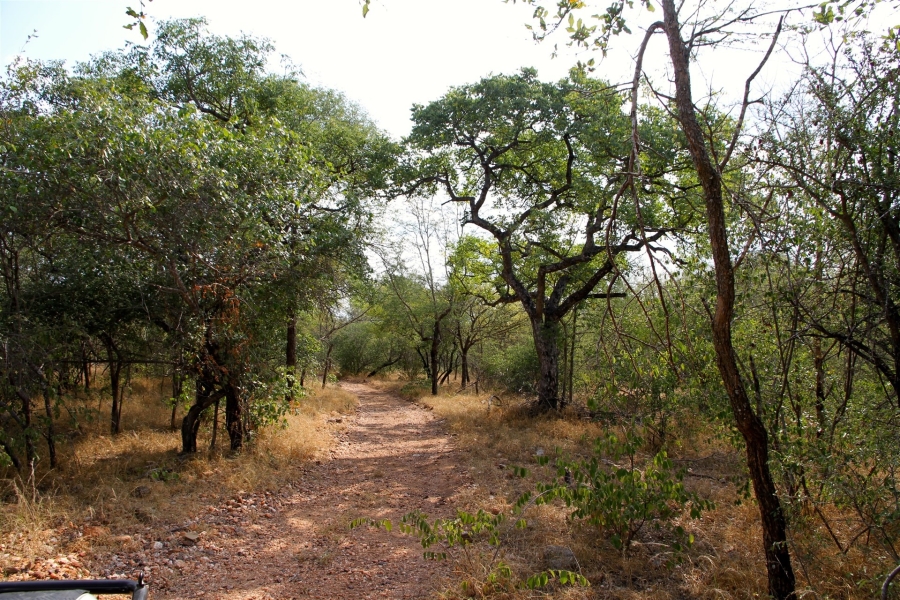 0 Bedroom Property for Sale in Liverpool Limpopo